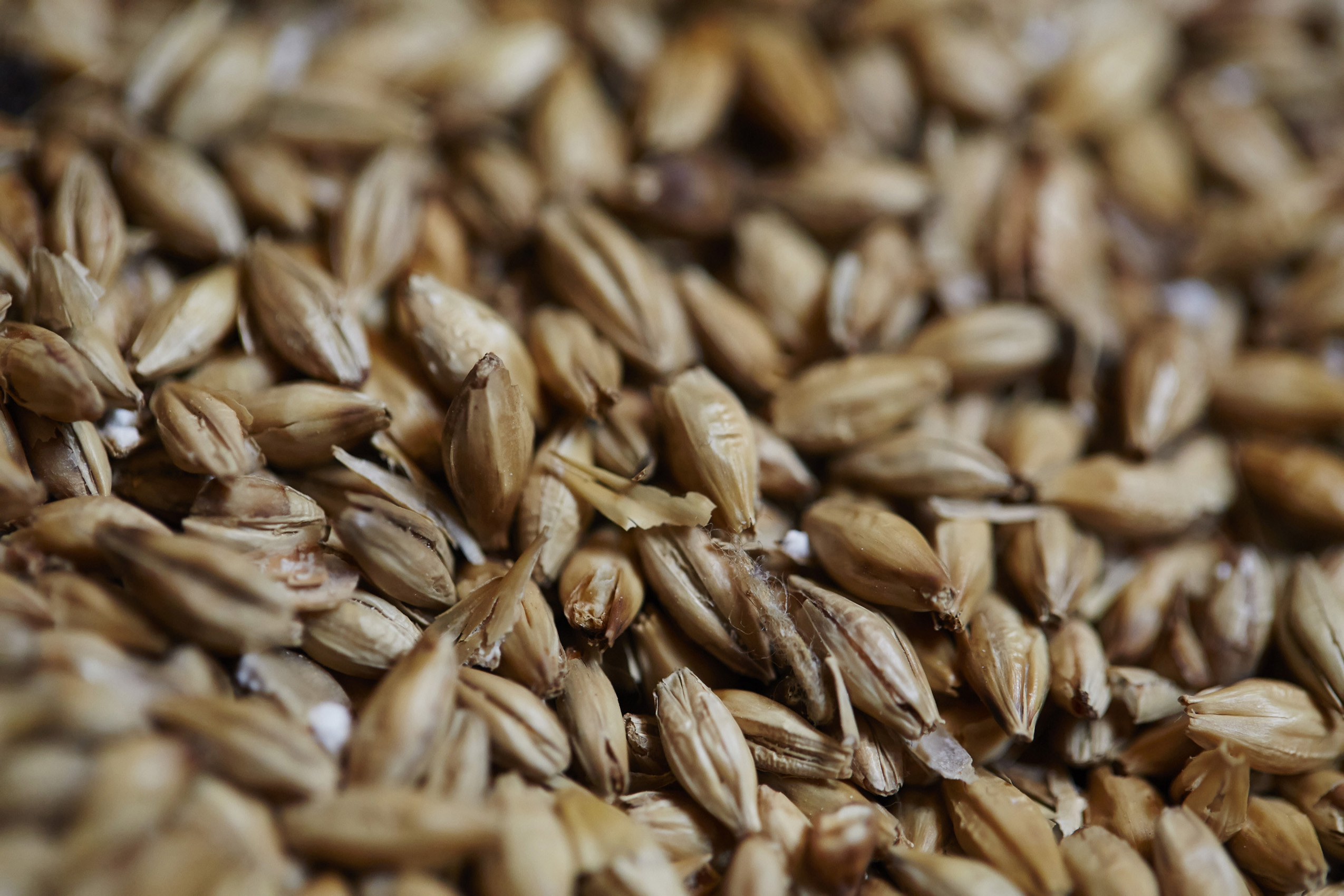 SteveRyan_Photographer_Drink_whisky_maltedbarley_41
