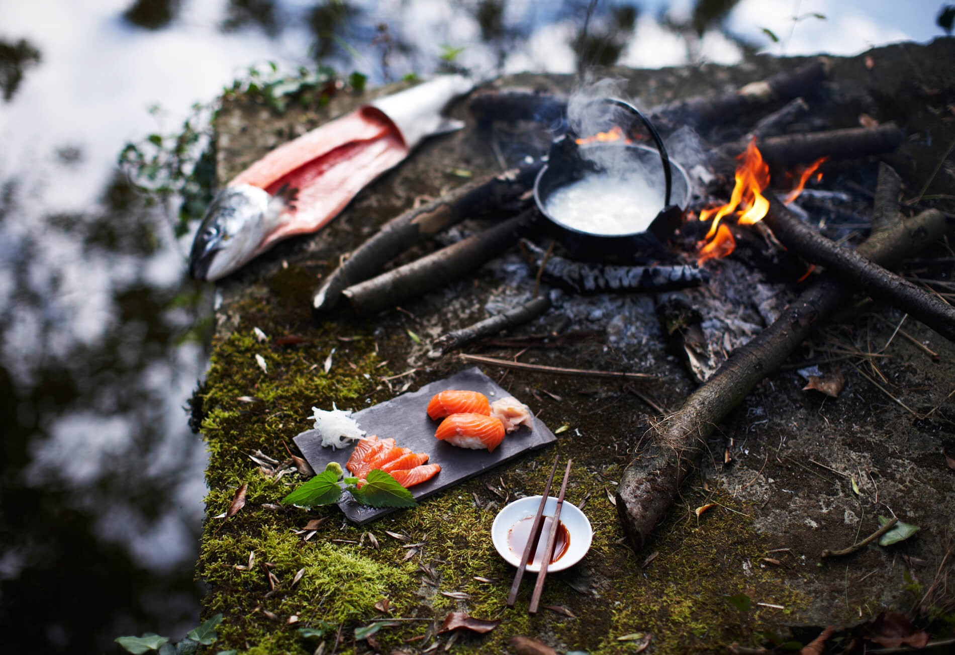 SteveRyan_Photographer_Food_Salmon_sashimi_wildcooking