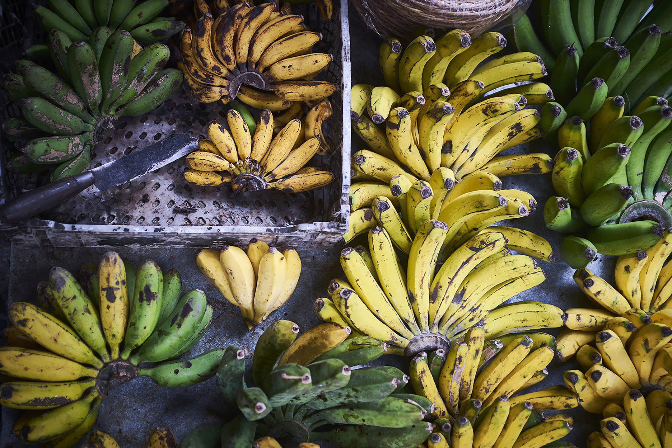 SteveRyan_Photographer_Ingredients_Produce_Vegetables_Bananas_17