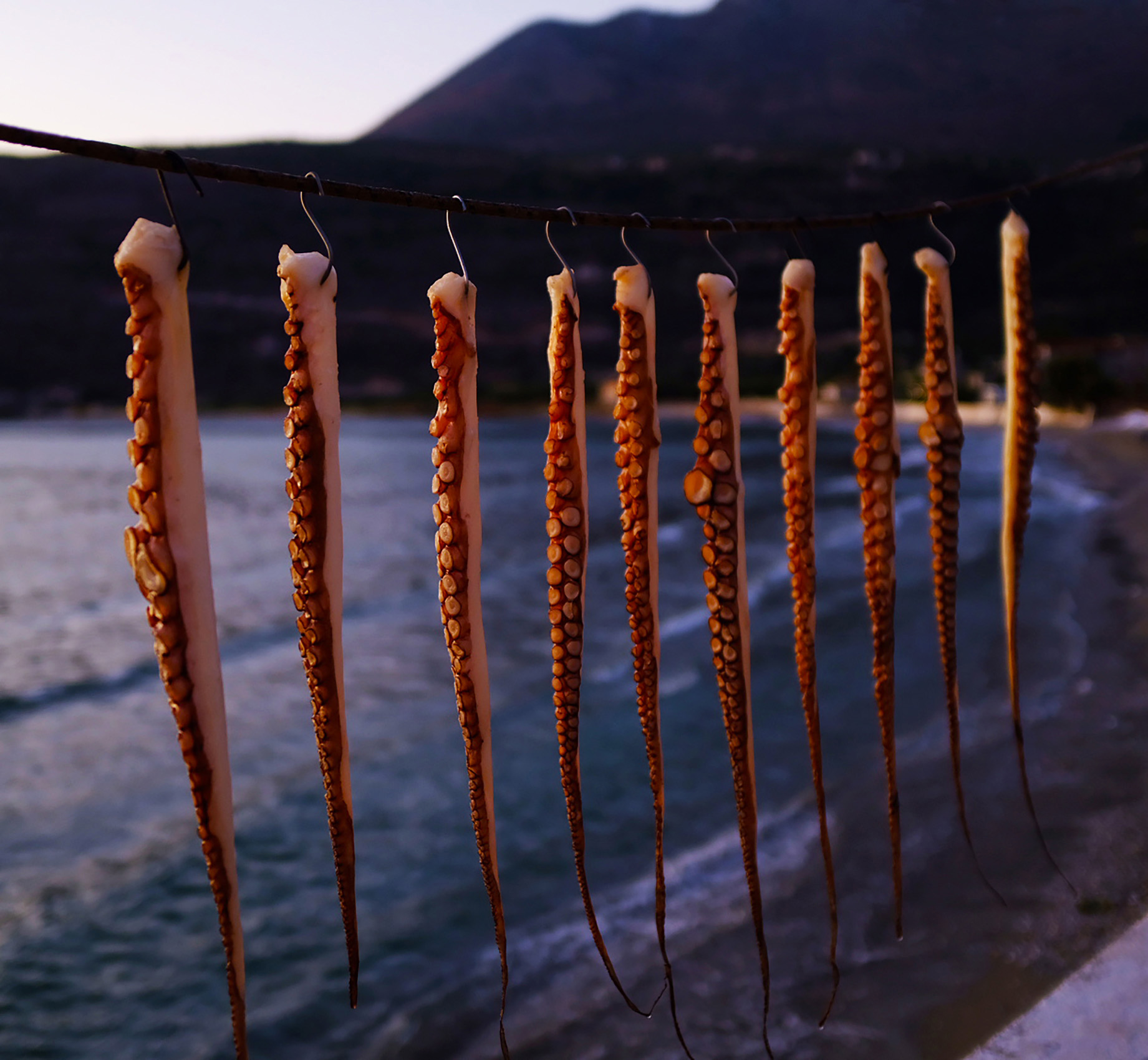 SteveRyan_Photographer_Reportage_Octopushanging_Greece_DeepMani_99